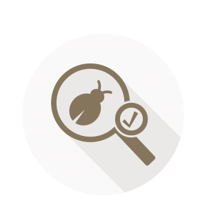 Eksamineret tester kursus