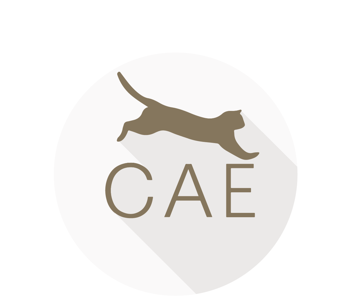CAE